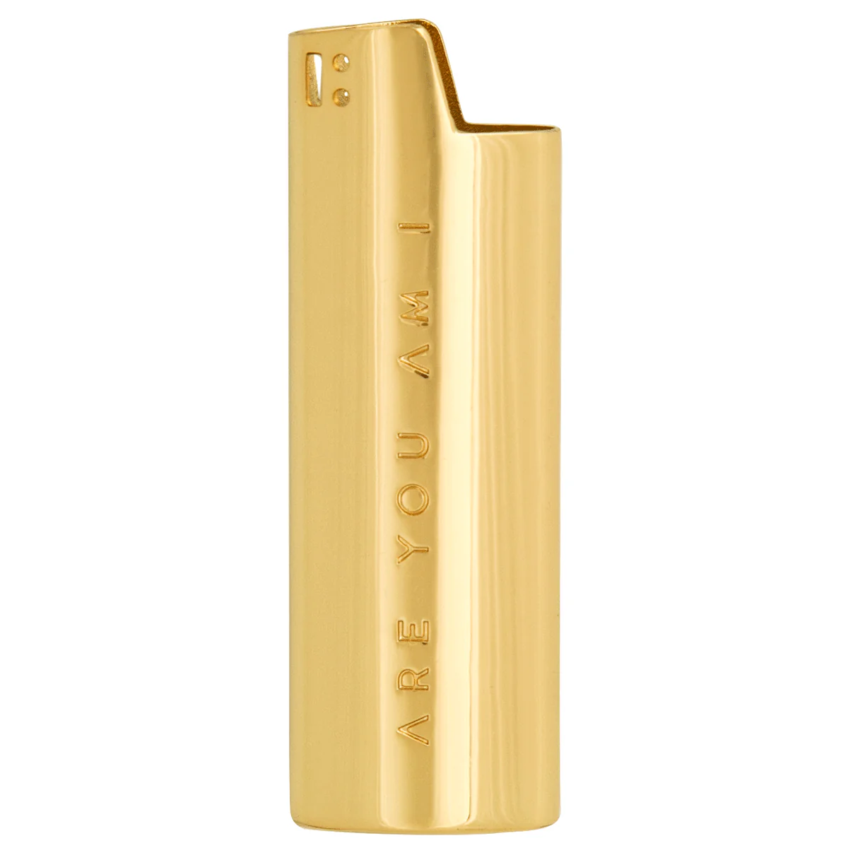Are You Am I Lighter Case - Image 5